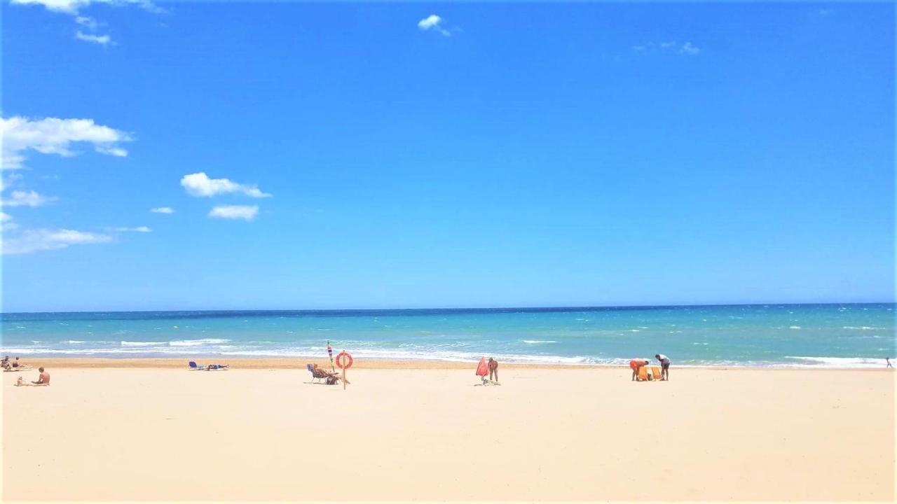 Tropical Playa Z Widokiem Na Morze, 400 M Do Plazy La Mata Beach Torrevieja Exteriör bild